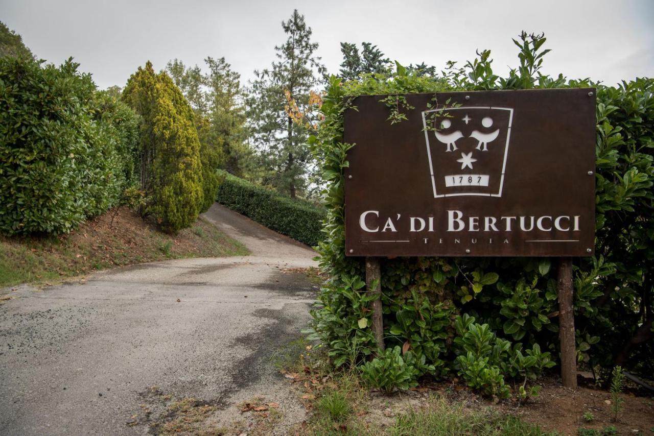 Tenuta Ca Di Bertucci Solignano Екстериор снимка