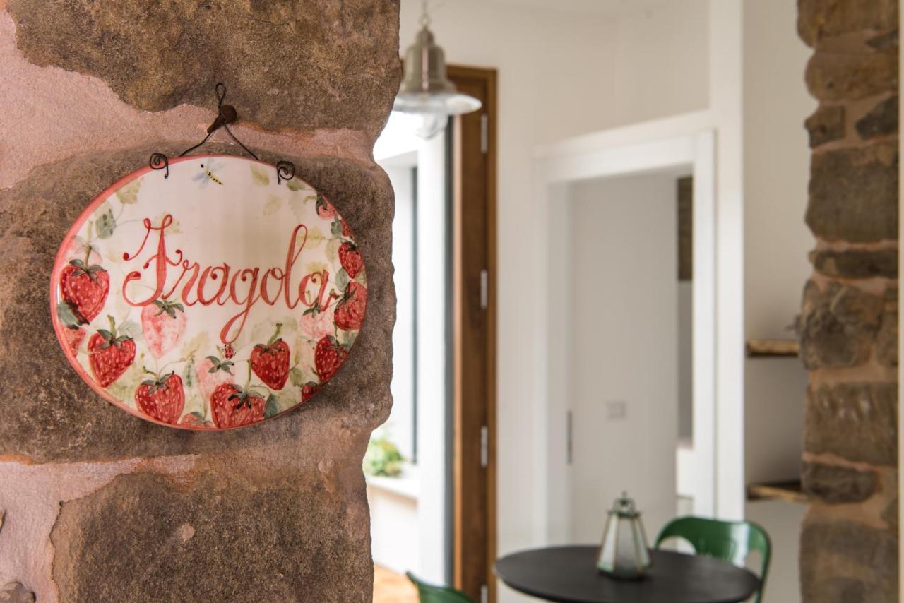 Tenuta Ca Di Bertucci Solignano Екстериор снимка
